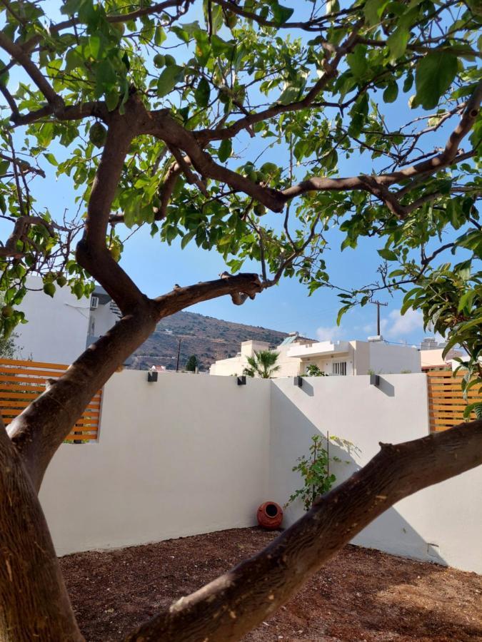 Apartamento Mg