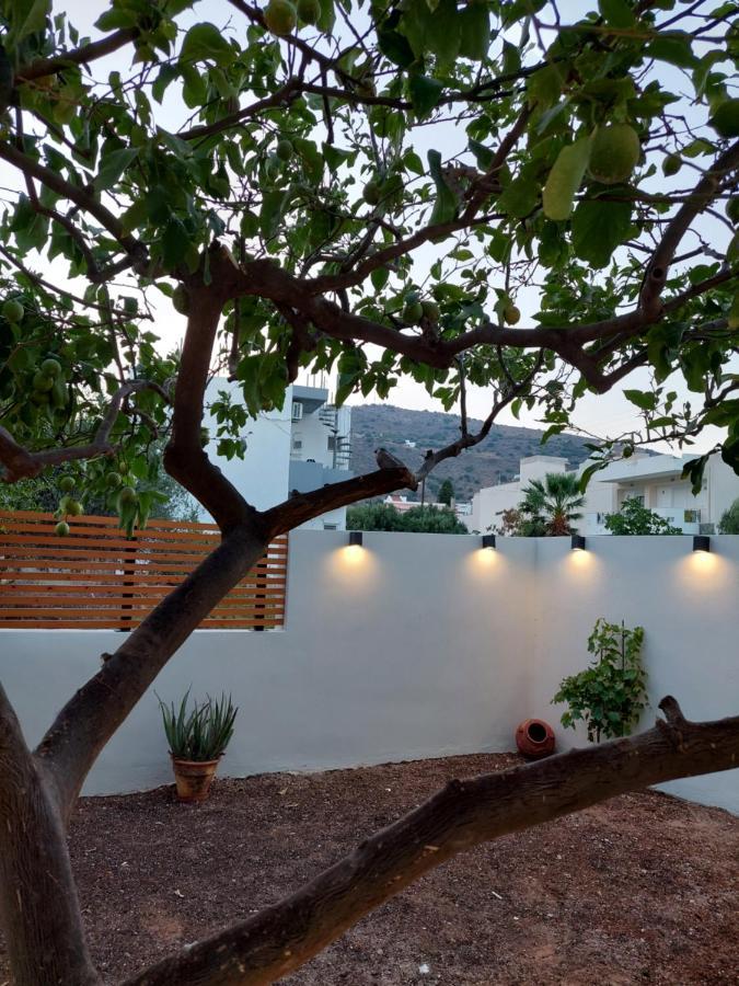 Apartamento Mg